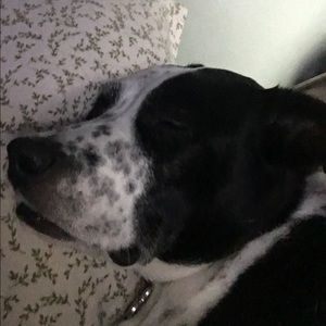 Meet your Posher, Joanne